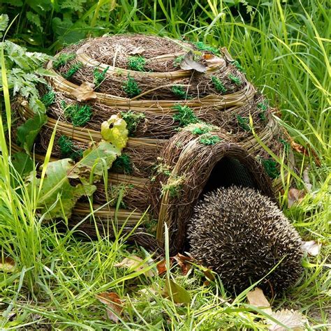 Hogilo hedgehog house | Hedgehog house, Diy hedgehog house, Hedgehog habitat