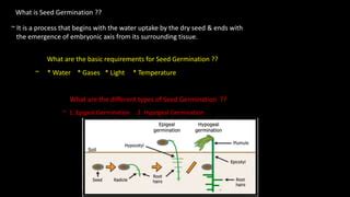 Seed Germination & Role of GA | PPT | Free Download