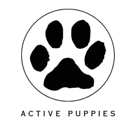 Active puppies | Warrington