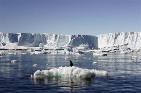 Melting glaciers, ice sheets, raising Earth's seas | ABS-CBN News