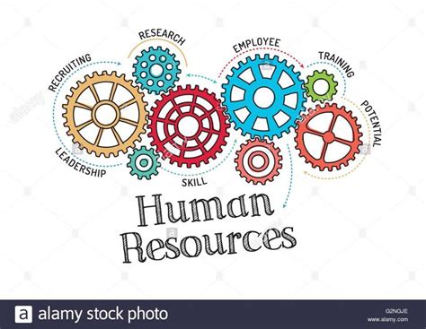 Gears And Human Resources Mechanism Stock Vector Art & Illustration ...