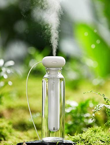 Best Mini Humidifier For Plants: A Buyer’s Guide