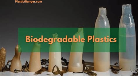 What is Biodegradable Plastic? | The Complete Guide