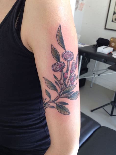 Native Australian flower; Eucalyptusflower tattoo | Flower tattoos, Mum ...