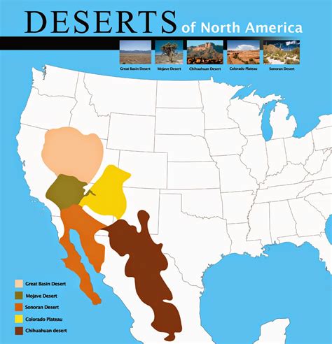 Sonoran Desert On World Map