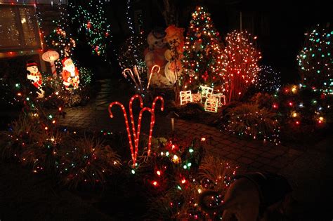 Best Christmas Light Displays In Every State