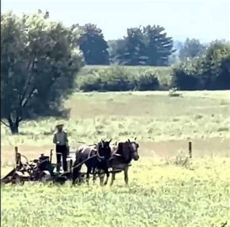 Troopers Raid an Amish Farm Over One Possible E-Coli Case