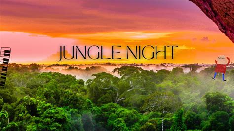 Jungle Night | Jungle Nightlife Sounds for Deep Sleep and Relaxation ...