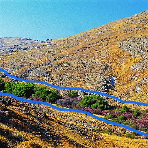 (PDF) Riparian Areas of Greece: Their Definition and Characteristics