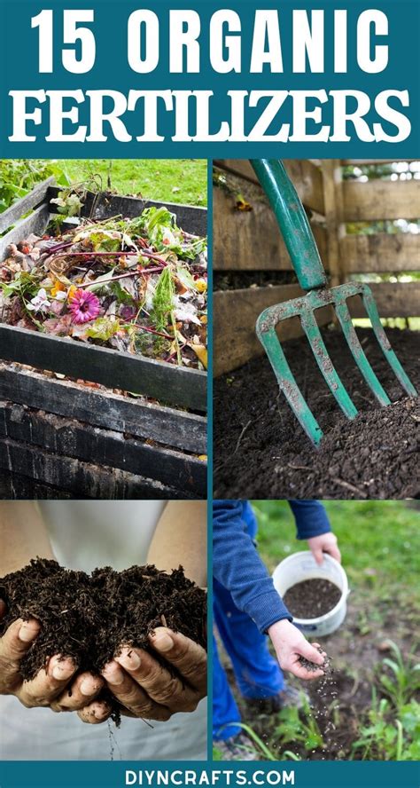 15 Organic DIY Garden Fertilizer Recipes That'll Beautify Your Garden ...