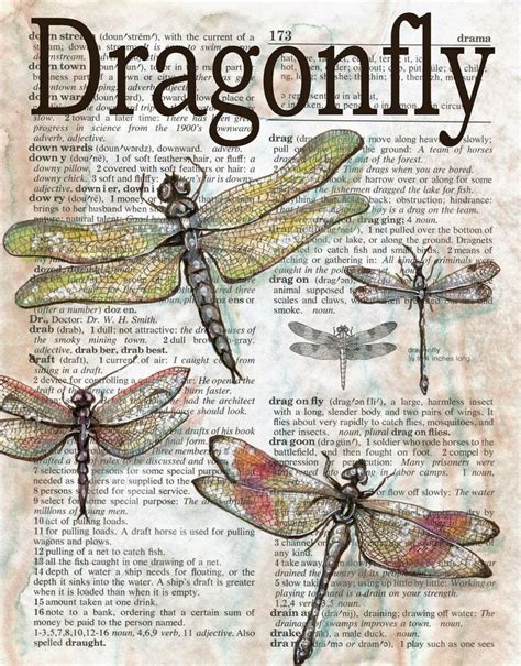 flying shoes art studio | Book page art, Dragonfly art, Book art