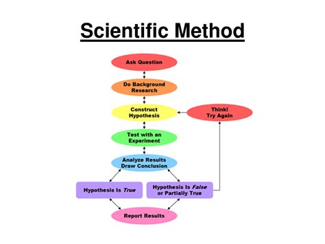 Scientific Method Diagram | Quizlet