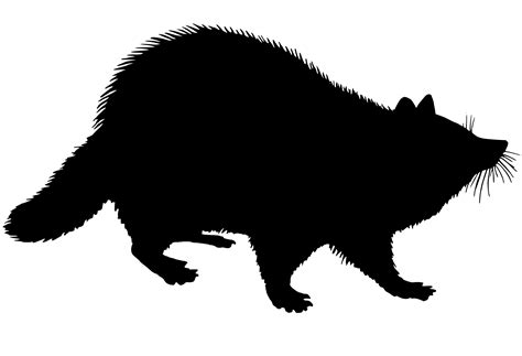 Raccoon Silhouette Clip Art at GetDrawings | Free download