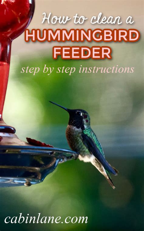 How to Clean a Hummingbird Feeder - Cabin Lane