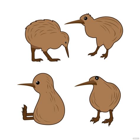 Kiwi Bird Vector in Illustrator, SVG, JPG, EPS, PNG - Download | Template.net