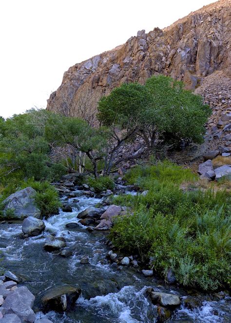 The Duffle Bag: * Owens River Gorge Hike