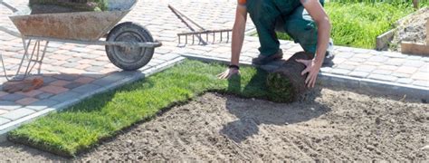 What is a turf cutter and how do I use it? [Grass Remover] | Master Hire