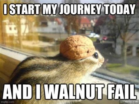 I WALNUT FAIL YOU! - Imgflip