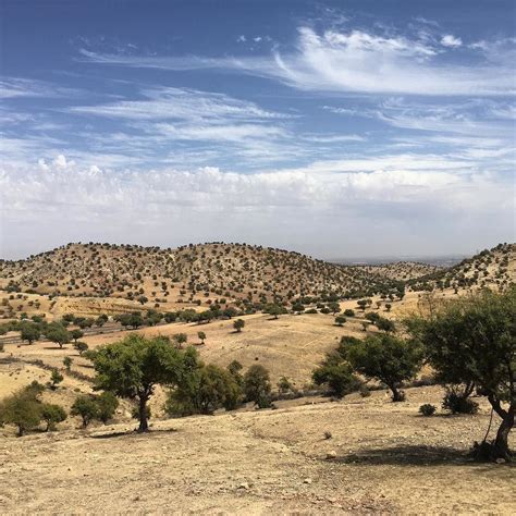 The Argan forest is a UNESCO protected biosphere (since 1998 ...