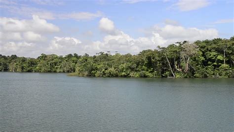 Guatemala, Rio Dulce National Park. Stock Footage Video (100% Royalty-free) 5094050 | Shutterstock