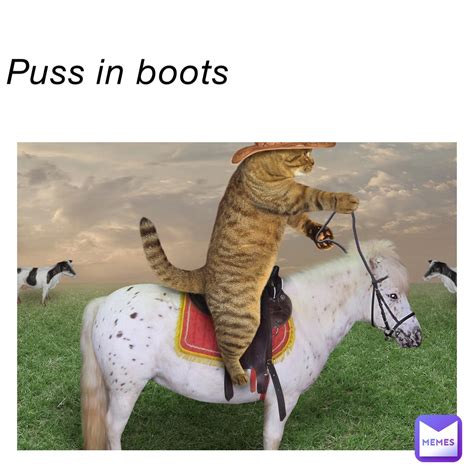 Puss in boots | @Kinley11 | Memes