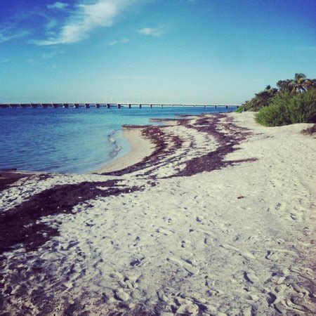 Historic Virginia Key Beach Park (Miami) - 2021 All You Need to Know BEFORE You Go | Tours ...