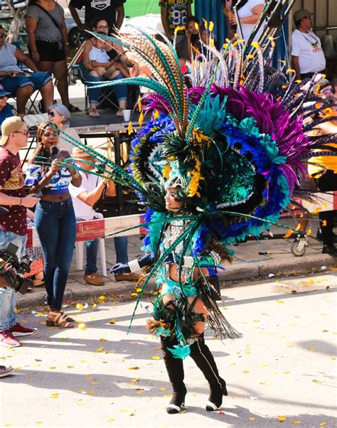 Amazing and flamboyant costumes from Aruba's Carnival #Aruba #Carnival ...