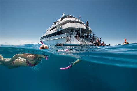 Cairns Snorkelling and Diving Tour | Great Barrier Reef Tour