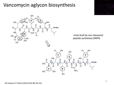 PPT - Atropisomerism in biaryl-containing natural products PowerPoint Presentation - ID:595865