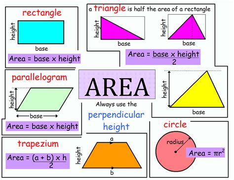 MathemaTICs: Aplicaciones de la Matemática en la medicina