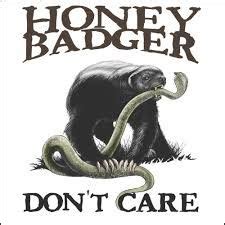 Image result for angry honey badger meme | 타투