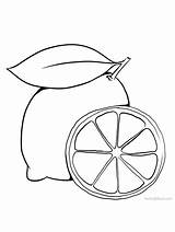 Lemon Fruit Coloring Pages Sketch Page sketch template