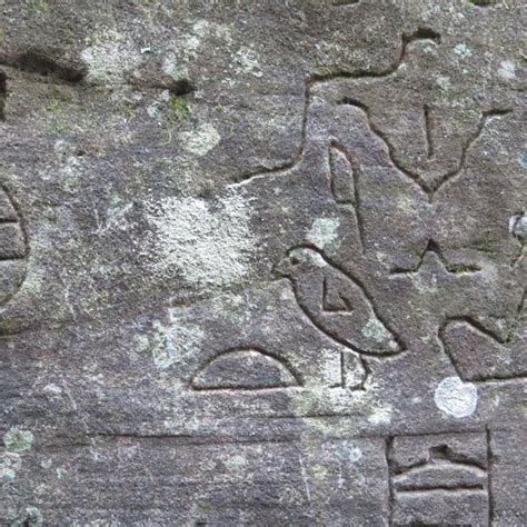 Gosford Glyphs – Kariong, Australia - Atlas Obscura