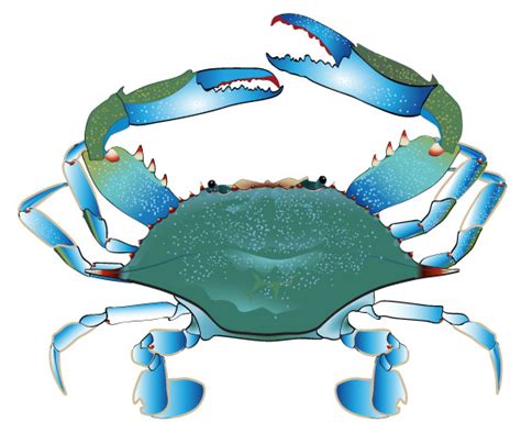 Blue Crab Clipart - ClipArt Best