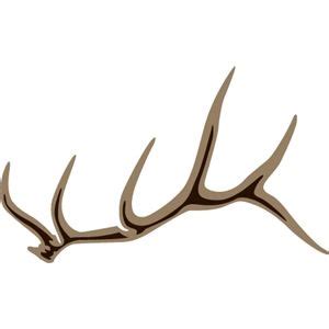 Elk antler | Antler tattoos, Antler drawing, Elk antlers