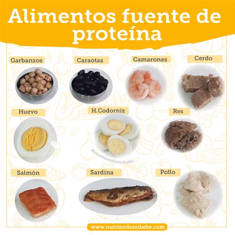 Nutriendo mi Bebé | ¿Cuáles son los alimentos fuente de proteína?