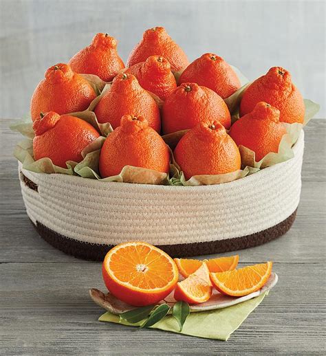 Sunny Citrus Gift Basket | Citrus Fruit Baskets | Harry & David