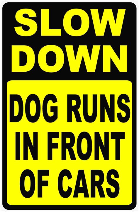 Slow Down Dog Runs in Front of Cars | Slow down, Dog signs, Dog runs