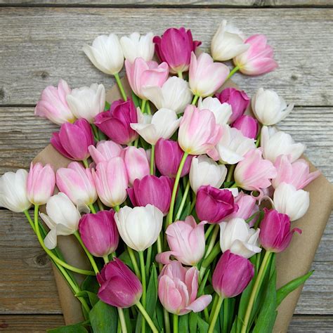 Beautiful Bouquet of Tulips for Mother's Day - Adventures of Yoo