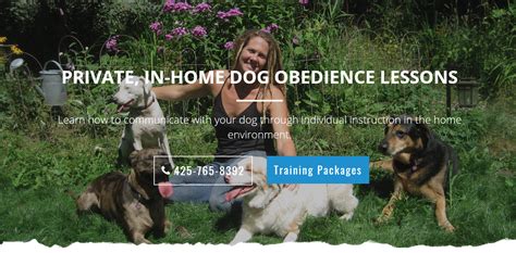 Private In-Home Dog Obedience Lessons | Mountain High Dog Training