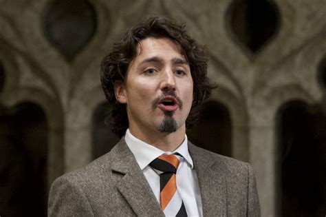 Statesman, ‘daddy’ or dud: Justin Trudeau’s new beard ignites social media - National ...