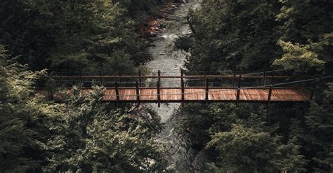 Crossing bridges · Free Stock Photo