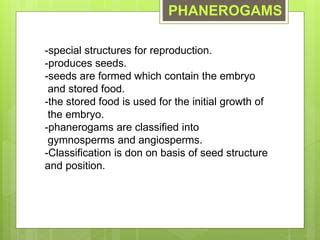 Classification of Plants, divisions of plants.pptx | Free Download