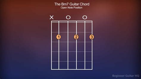 Bm7 Guitar Chord - Finger Positions, How-to, Variations | Beginner Guitar HQ