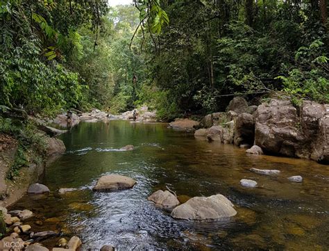 Sinharaja Rain Forest - Lanka Visit