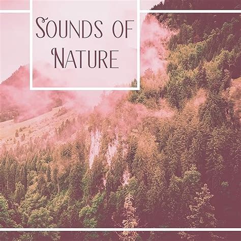 Sounds of Nature – Relaxing Music, Nature Sounds, Relief Stress, Reduce Anxiety, Rest ...