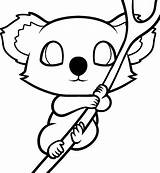 Baby Koala coloring Page  Download Print Or Color Online For Free sketch template