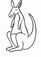 Free Printable Kangaroo Coloring Pages For Kids sketch template