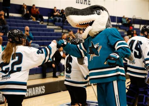 Photos from San Jose Sharks team up with Special Olympics Northern ...