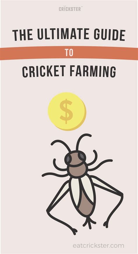 Cricket farming: The ultimate DIY guide | Cricket farming, Cricket farm, Cricket